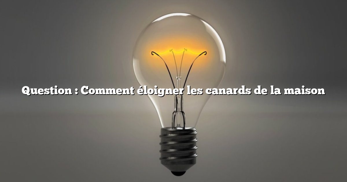 Question : Comment éloigner les canards de la maison